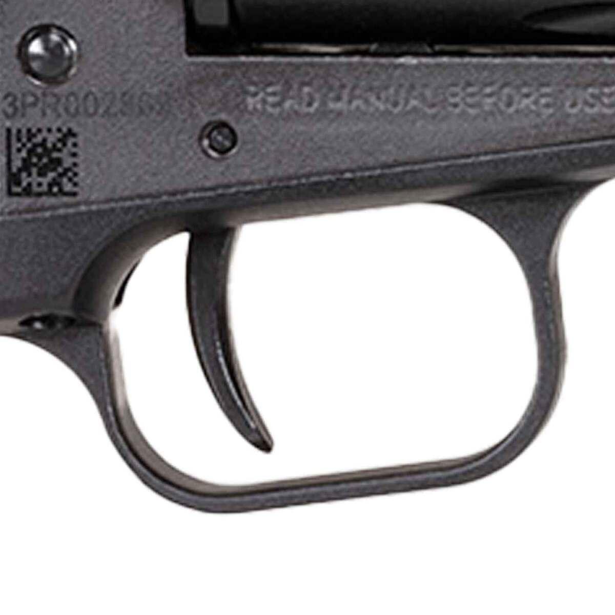 Heritage Rough Rider Small Bore .22 LR SRR22BS6PG