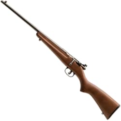 Savage Rascal .22 LR 13820