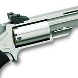 North American Arms NAA Mini-Master .22 WMR NAA-MMM