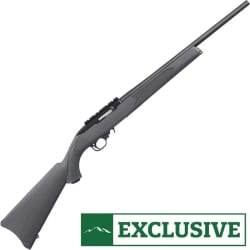 Ruger 10 22 Carbine .22 LR 31145