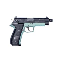 American Tactical ATI GSG Firefly .22 LR GERG2210TFFM