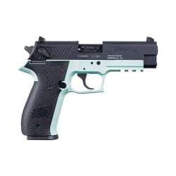 American Tactical ATI GSG Firefly .22 LR GERG2210FFM