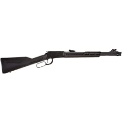 Rossi Rio Bravo .22 WMR RL22W201SY