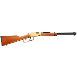 Rossi Rio Bravo .22 LR RL22181WD-GLD1