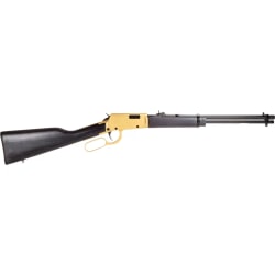 Rossi Rio Bravo .22 LR RL22181WD-GLD2
