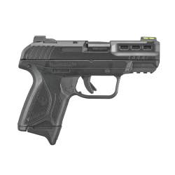 Ruger Security-380 .380 ACP 3839
