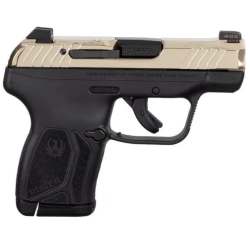 Ruger LCP MAX .380 ACP 13742