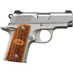 Kimber Micro Raptor Stainless .380 ACP 3300084