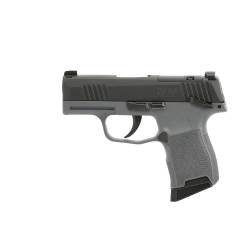 Sig Sauer P365 9mm Luger 365-9-BXR3P-MS-GRY