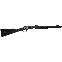 Rossi Gallery .22 LR RP22181SY-EN18