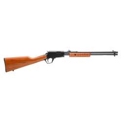 Rossi Gallery .22 LR RP22181WD