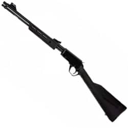 Rossi Gallery .22 LR RP22181WD-EN17