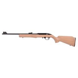 Rossi RS22 .22 LR RS22L1811TN