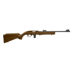 Rossi RS22 .22 LR RS22L1811L