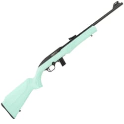 Rossi RS22 .22 LR RS22L1811TL