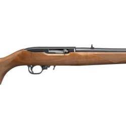 Ruger 10 22 .22 LR 1150