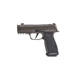 Sig Sauer P365-AXG Legion 9mm Luger 365AXGCA-9-LEGION-10