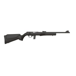 Rossi RB22 .22 LR RB22L1811