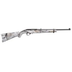 Ruger 10 22 .22 LR 31169