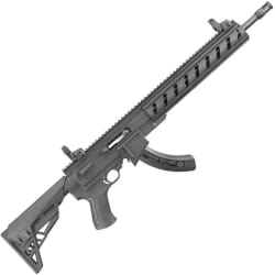 Ruger 10 22 .22 LR 11198