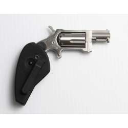 North American Arms NAA Sidewinder .22 WMR NAA-SW-HG
