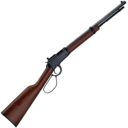 Henry Small Game .22 WMR | 20 Gauge H001TMRP