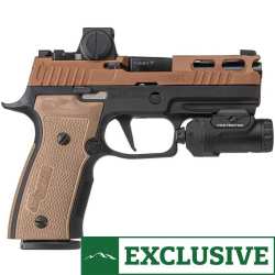 Sig Sauer P320 AXG Pro 9mm Luger 320AXGCA9TXR3CSW