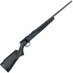 Savage B17 FV .17 HMR 70801