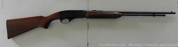Remington Model 572 Field Master 22-img-0