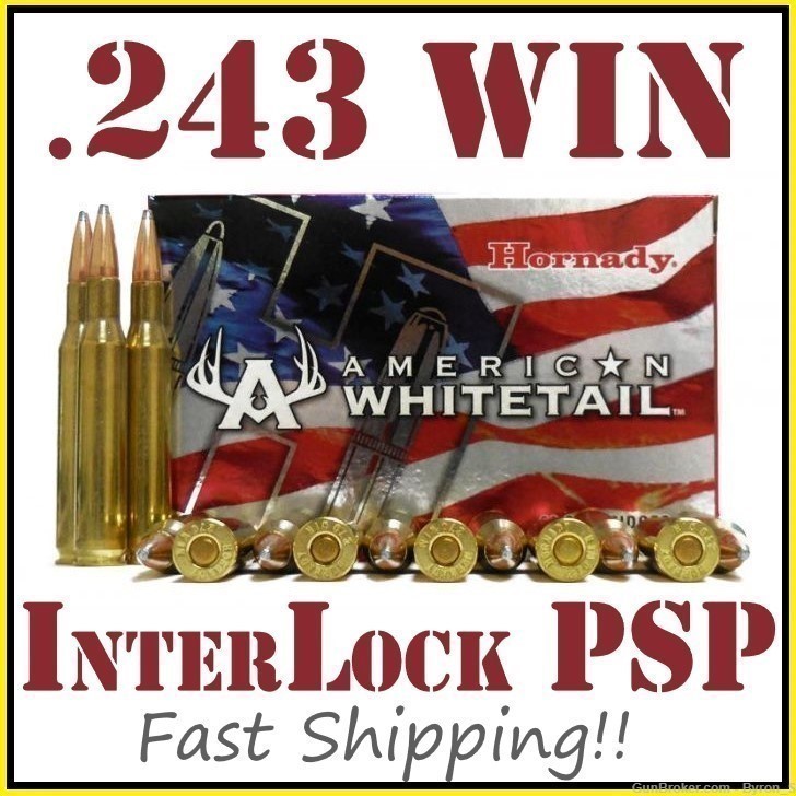 20rds Hornady American Whitetail™ JSP .243 WIN 100gr PSP 8047 + FAST SHIP -img-0