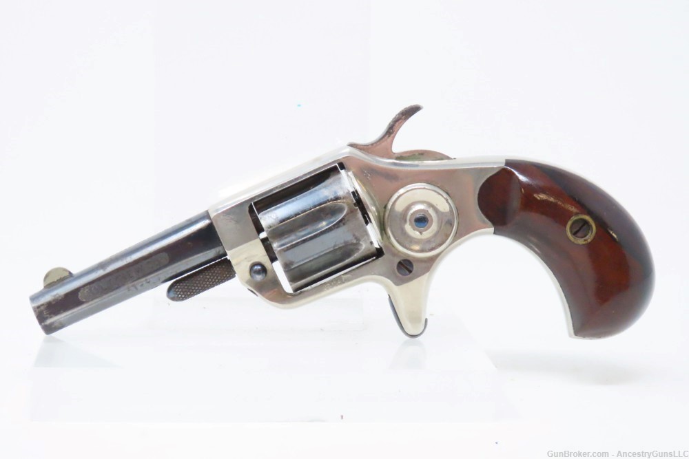 PIPE CASED ENGLISH Antique COLT “NEW LINE” .22 Cal. Rimfire ETCHED Revolver-img-3