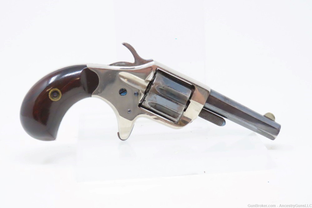 PIPE CASED ENGLISH Antique COLT “NEW LINE” .22 Cal. Rimfire ETCHED Revolver-img-16