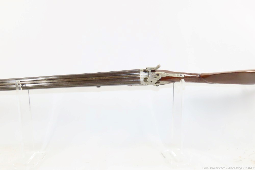 NICE Antique BELGIAN 36 Bore DOUBLE BARREL Percussion Shotgun CARVED STOCK -img-13