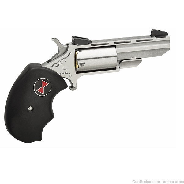 North American Arms Black Widow .22LR Stainless 5 Rds NAA-BWL-img-1