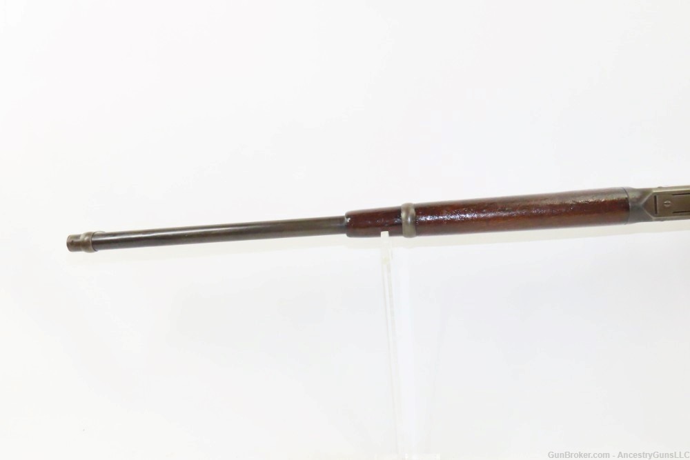 c1901 WINCHESTER M1894 Lever Action .38-55 WCF C&R Saddle Ring CARBINE   -img-7