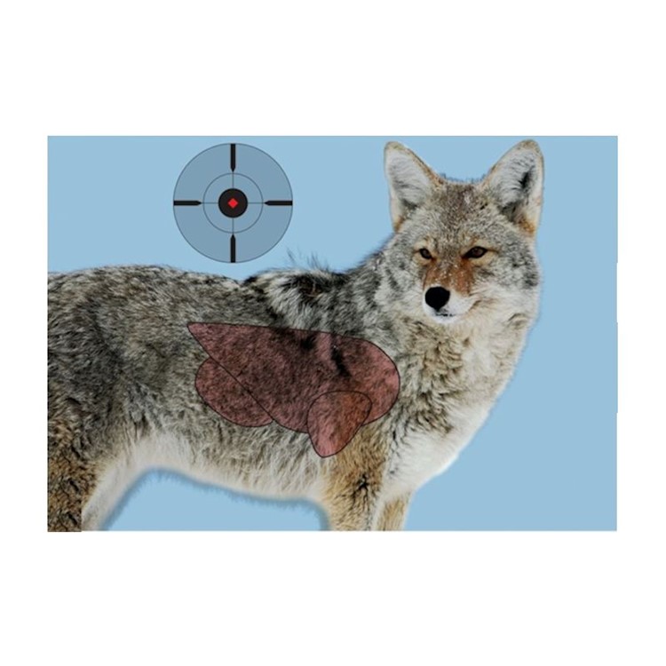 Birchwood Casey Pregame Coyote Targets 16.5 x 24-img-0