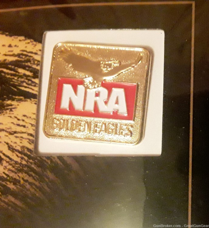 NRA National Rifle Association Golden Eagles Lot of 26 Pins-img-6
