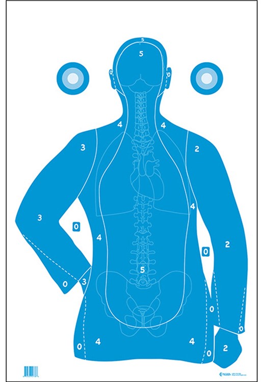 Action Target Qualification Vital Anatomy Silhouette/Vitals Paper Hanging 2-img-0