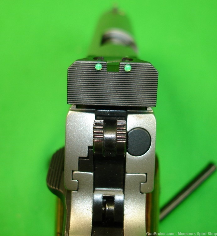 Ruger SR1911 10mm Custom - 98%-img-2