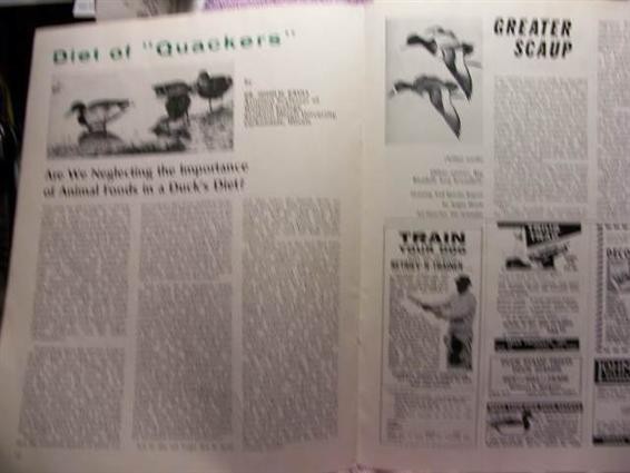 1968 Ducks Unlimited Magazine-img-1