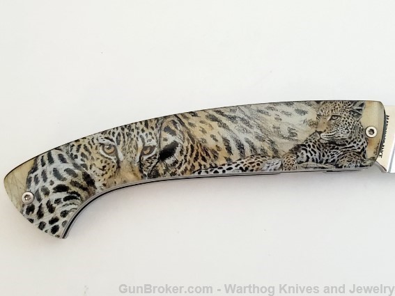 1515 LAPLACE "1515 Alsac-Leopard" Folding Knife. LP15. *REDUCED*-img-3