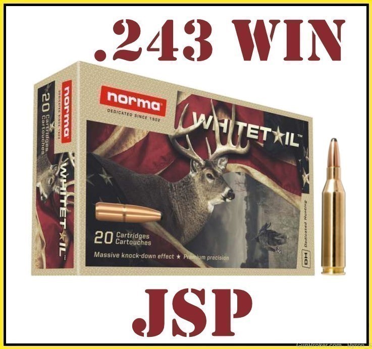 20rds Norma Whitetail™ .243 Win 100gr PSP Hunting 20160462 + FAST SHIP-img-0