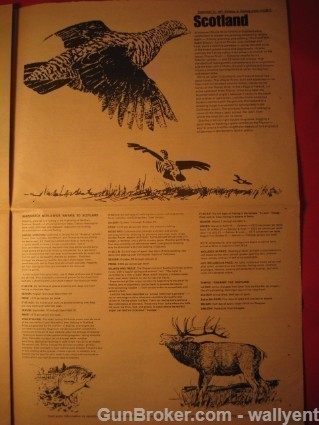 Winchester World-Wide Safari's 1967 Paper Rare-img-18