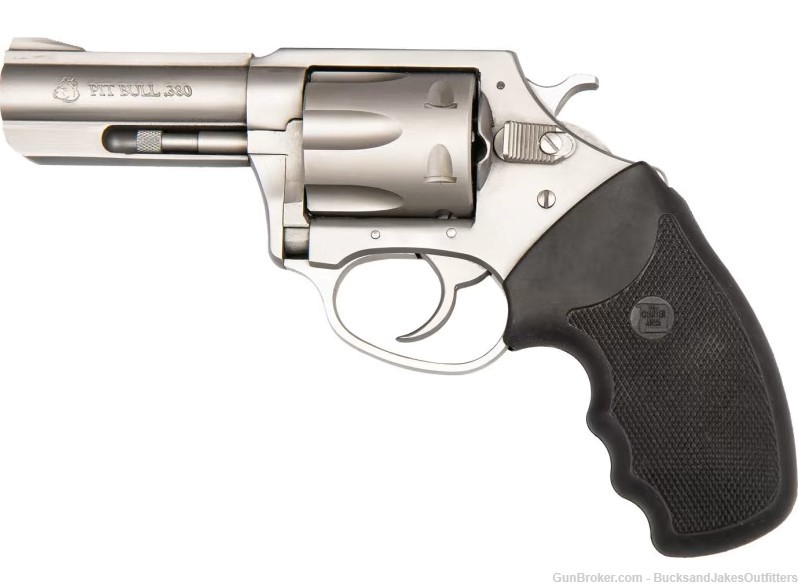 Charter Arms PIT Bull 380-img-0