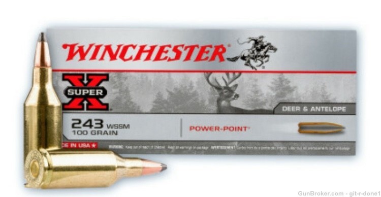 243 WSSM Winchester Super X 20rnds-img-0