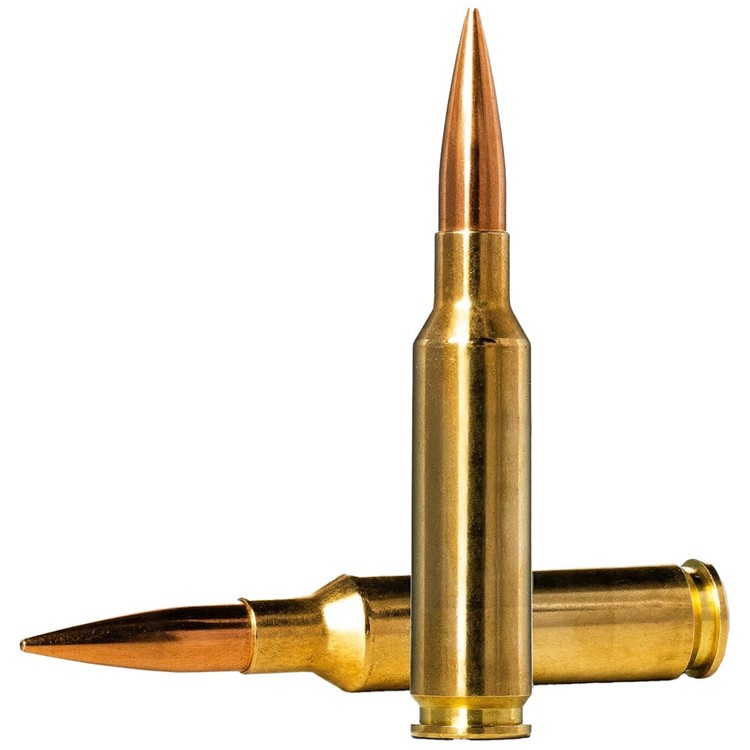 Norma Golden Target 6.5 Creedmoor 143gr Centerfire Rifle Ammo (20/box)-img-0