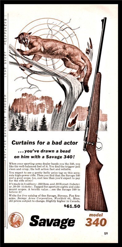 1961 SAVAGE Model 340 Rifle AD Cougar in tree-img-0