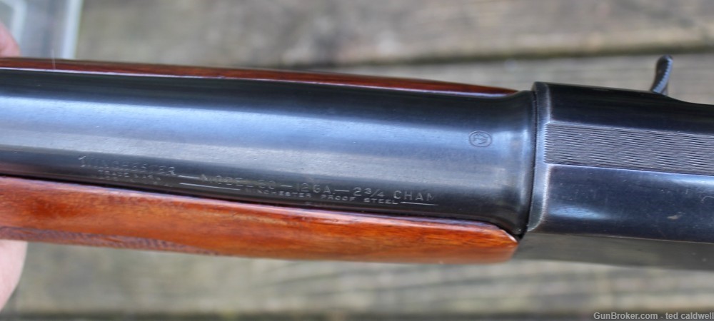 Winchester Model 50 12 gauge semi-auto shotgun! -img-12