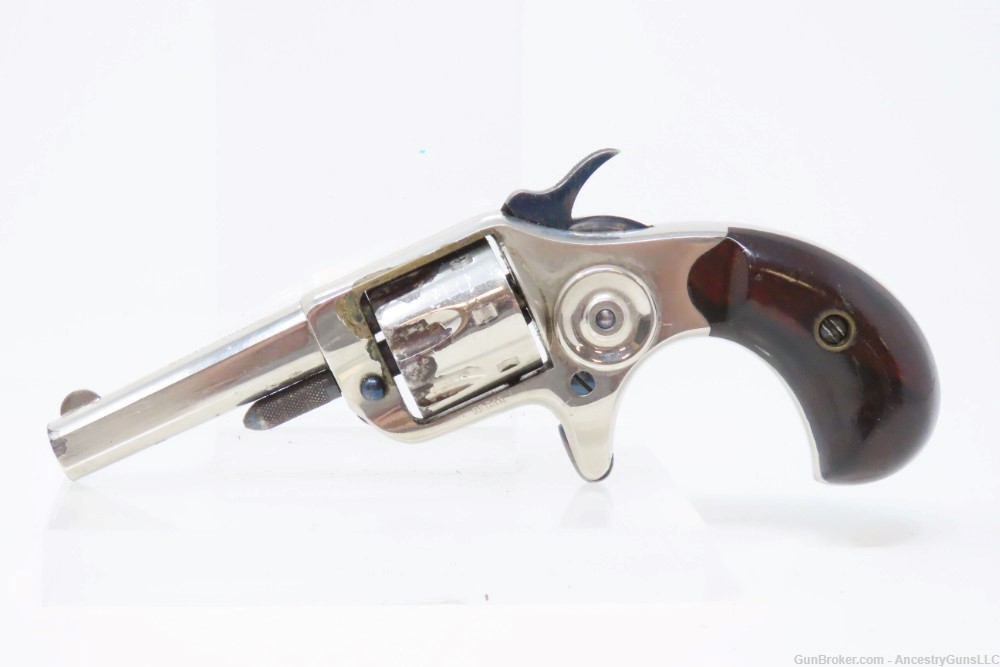 CASED Pair of LONDON PROOFED Antique COLT “New Line” .22 Cal. RF Revolvers -img-20
