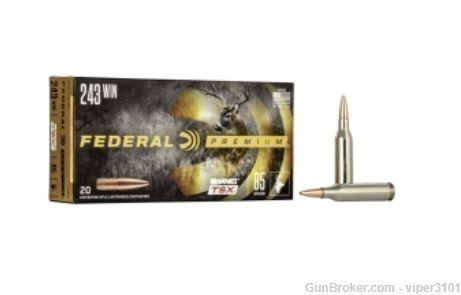 Federal P243K 243 Win 85 Gr 20 Rounds-img-0